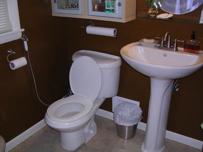 The Throne and Sink 1.jpg